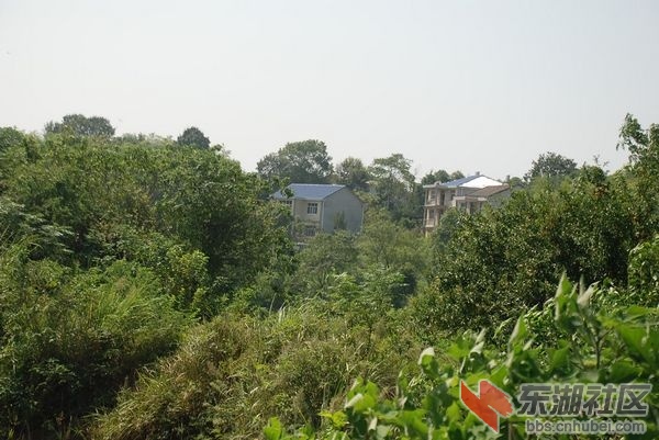 nEO_IMG_DSC_3656.jpg