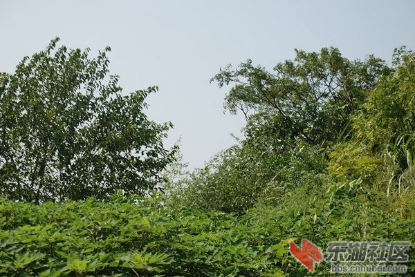 nEO_IMG_DSC_3657.jpg
