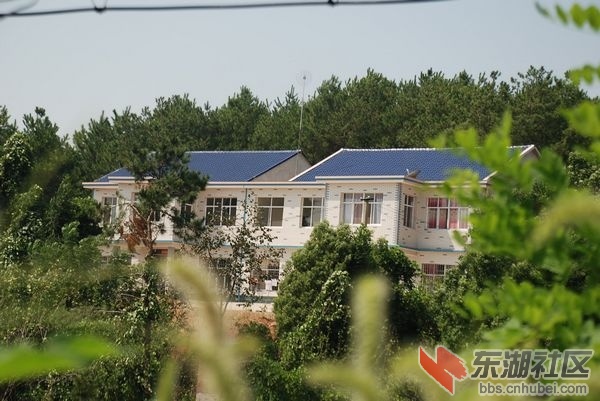 nEO_IMG_DSC_3664.jpg