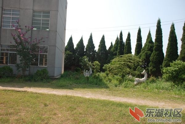 nEO_IMG_DSC_3672.jpg