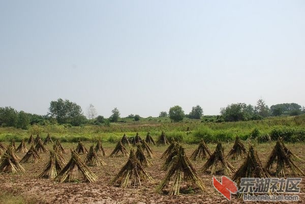 nEO_IMG_DSC_3682.jpg