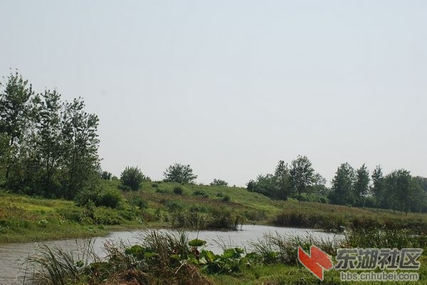 nEO_IMG_DSC_3683.jpg