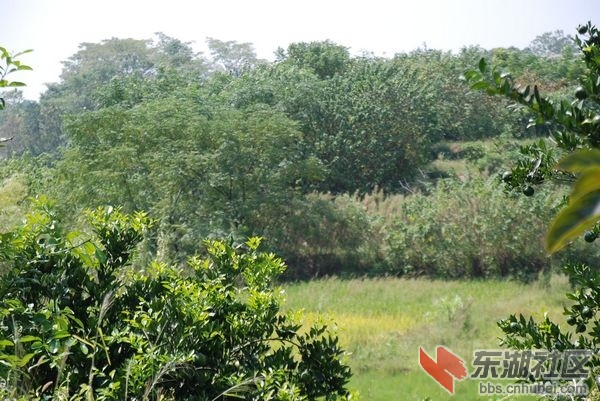 nEO_IMG_DSC_3691.jpg