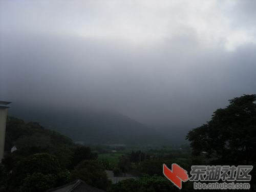 SDC10517a.jpg