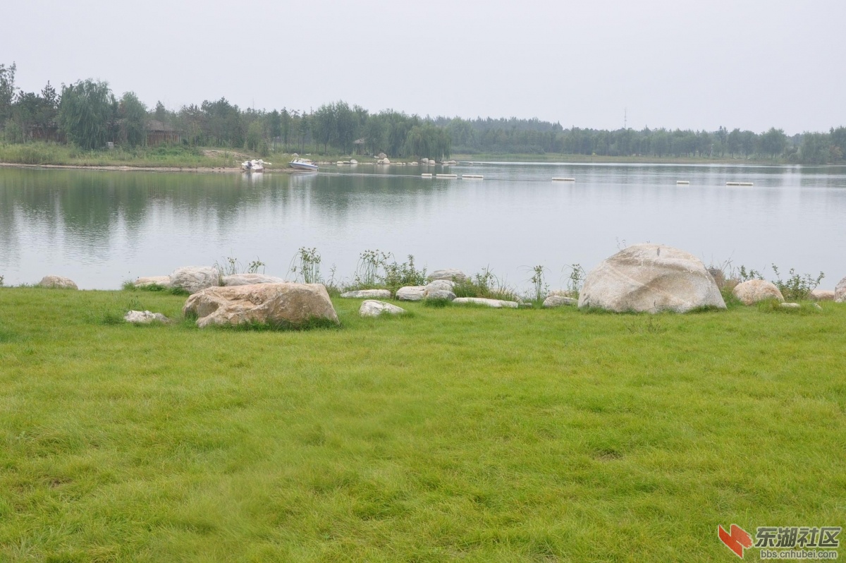 DSC_0586.JPG