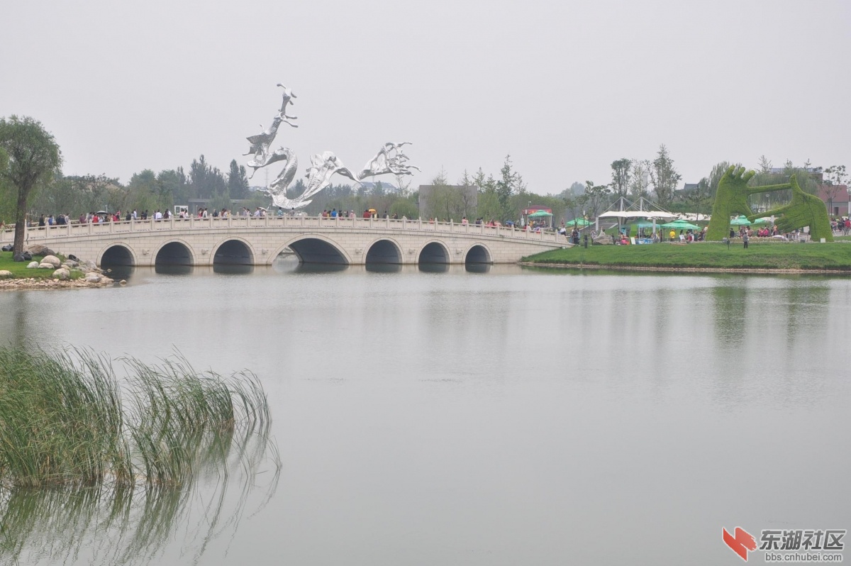 DSC_0598.JPG