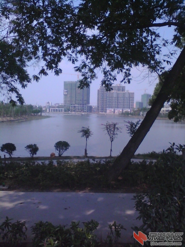 IMG_20130921_134534_0.jpg