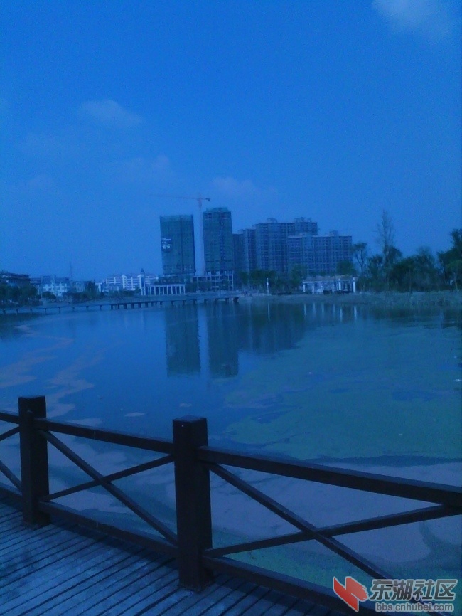 IMG_20130921_134233_0.jpg