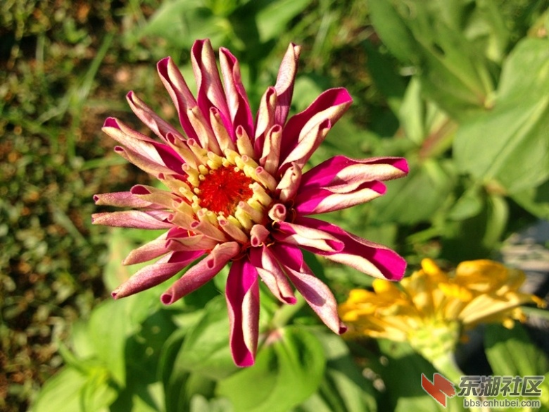 142542v61t5bsjs16mn16m.jpg.thumb.jpg