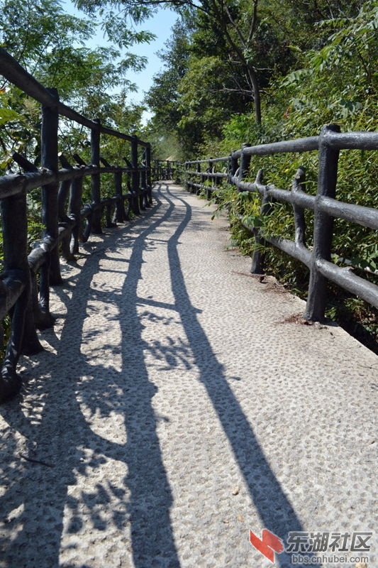 DSC_0318_副本.jpg