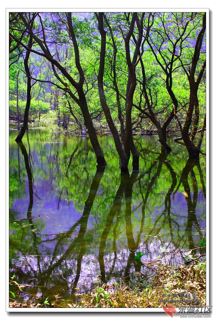 IMG_6134_副本.jpg
