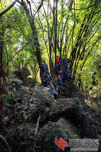 石仓雨林、青檀.jpg
