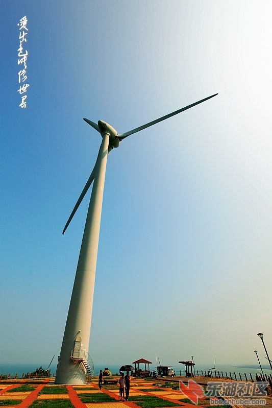 IMG_6460_副本_conew1.jpg