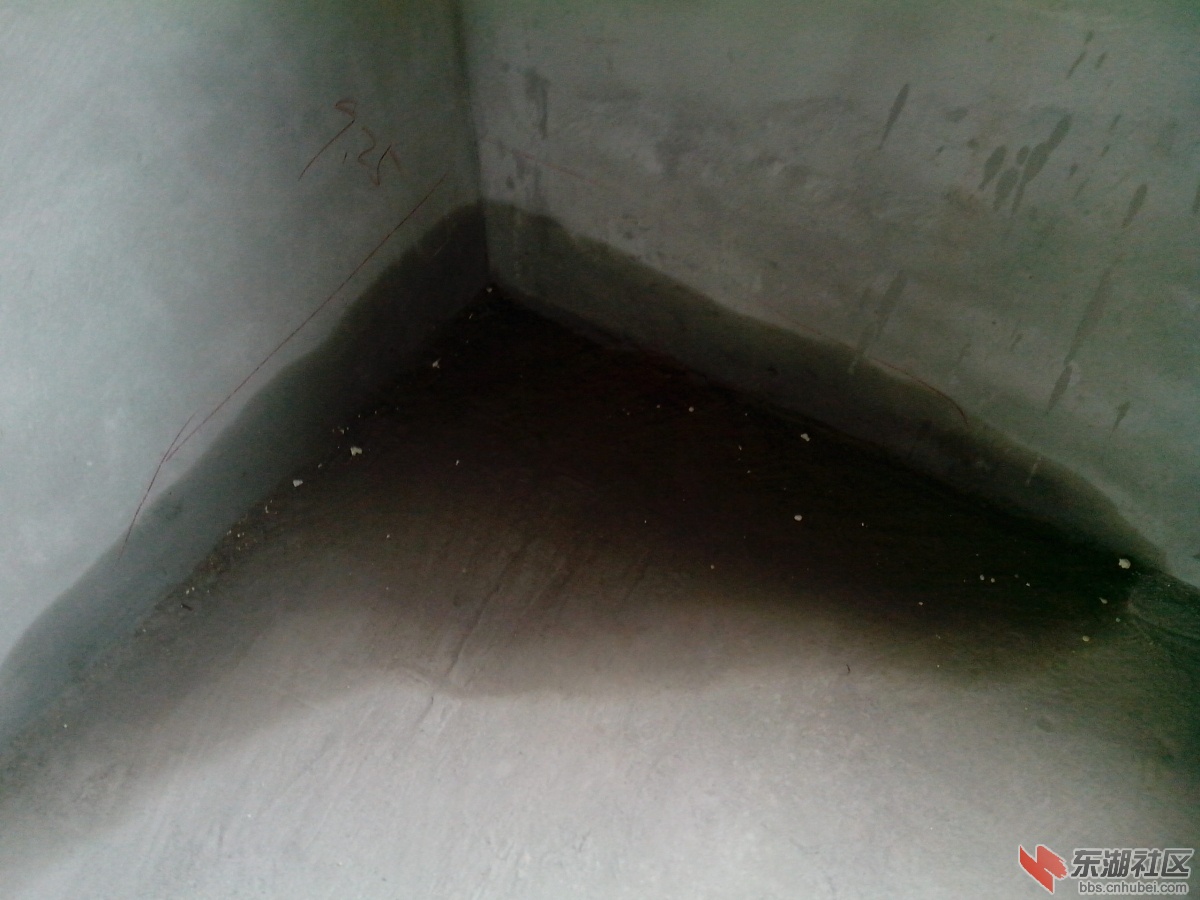 IMG_20130926_150653.jpg