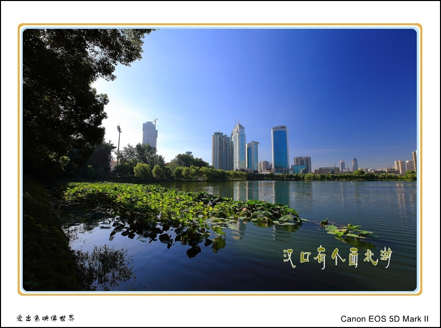 汉口有个西北湖
