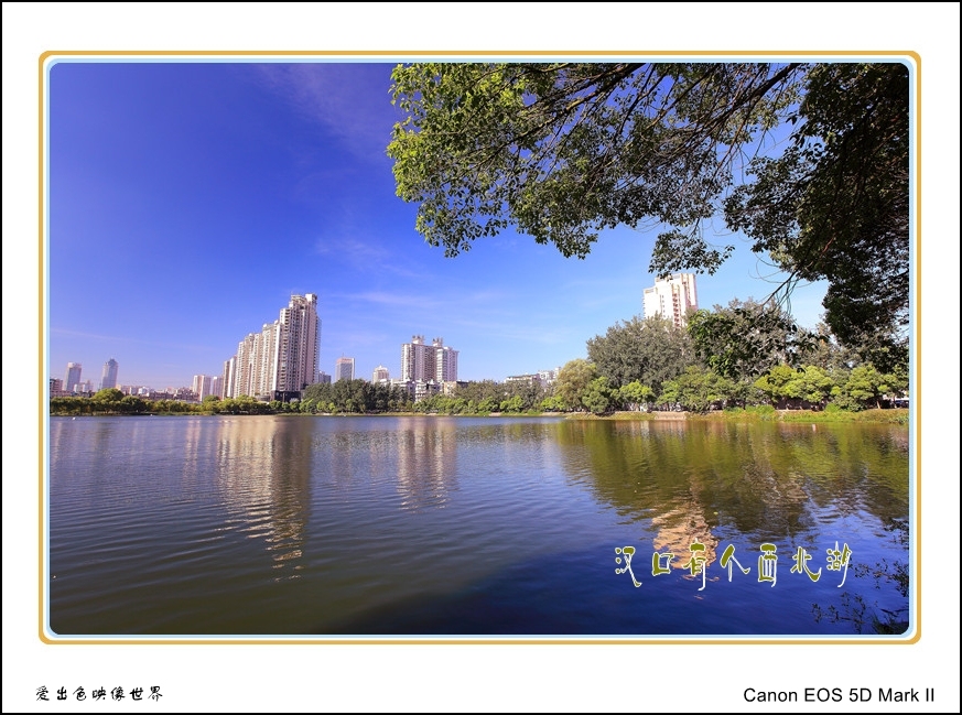 汉口有个西北湖