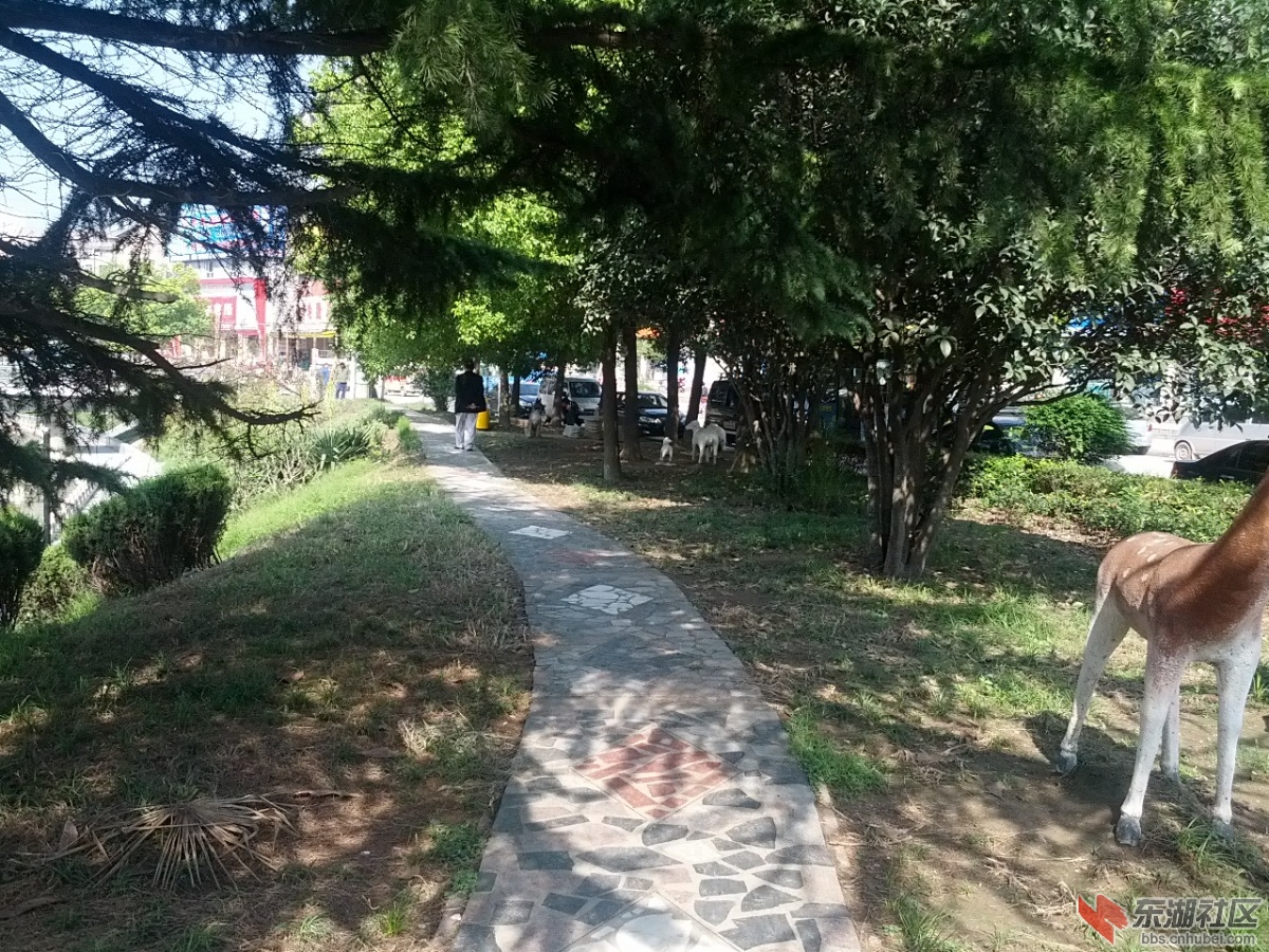 IMG_20130928_095228.jpg