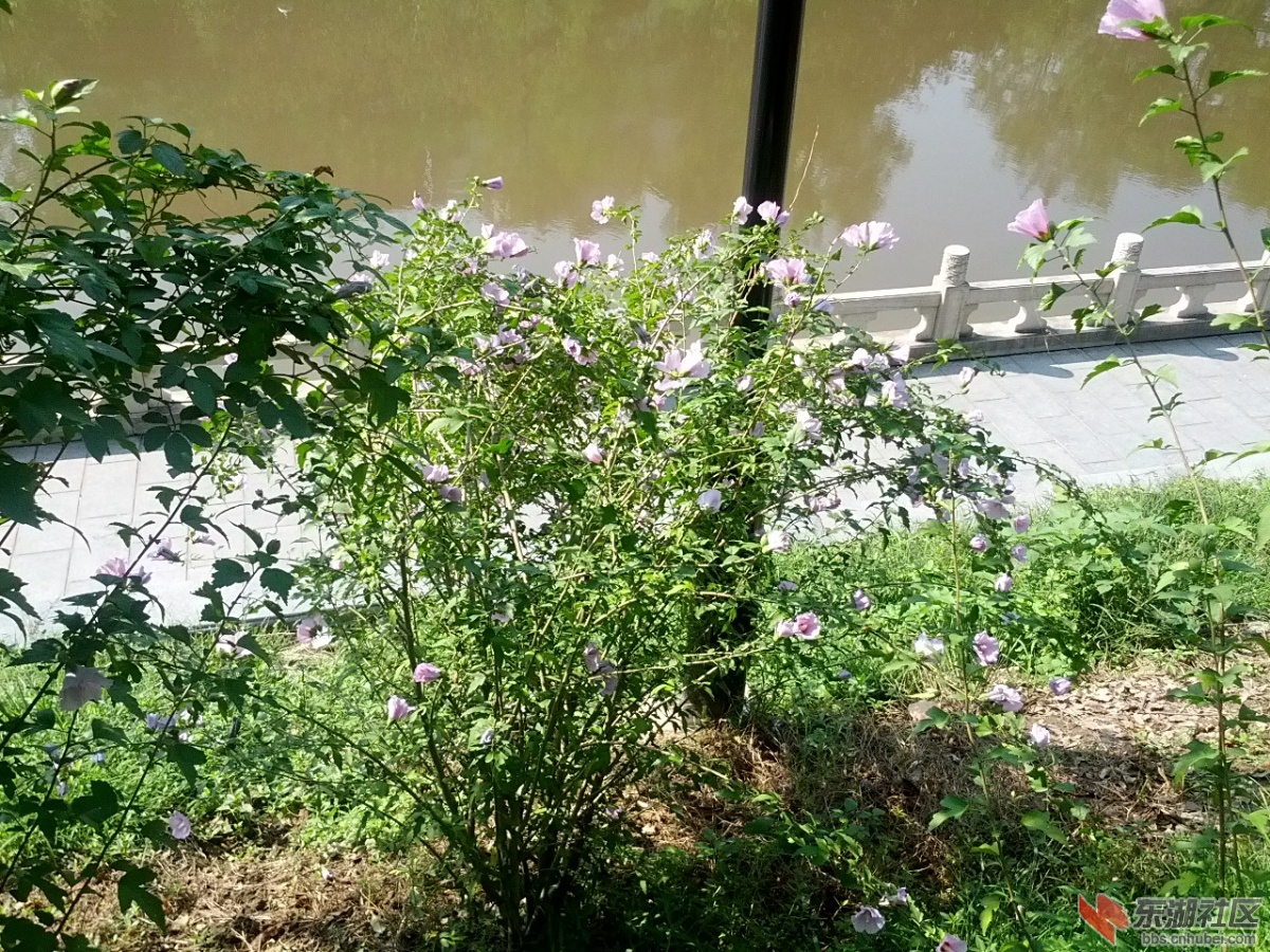 IMG_20130928_094629.jpg