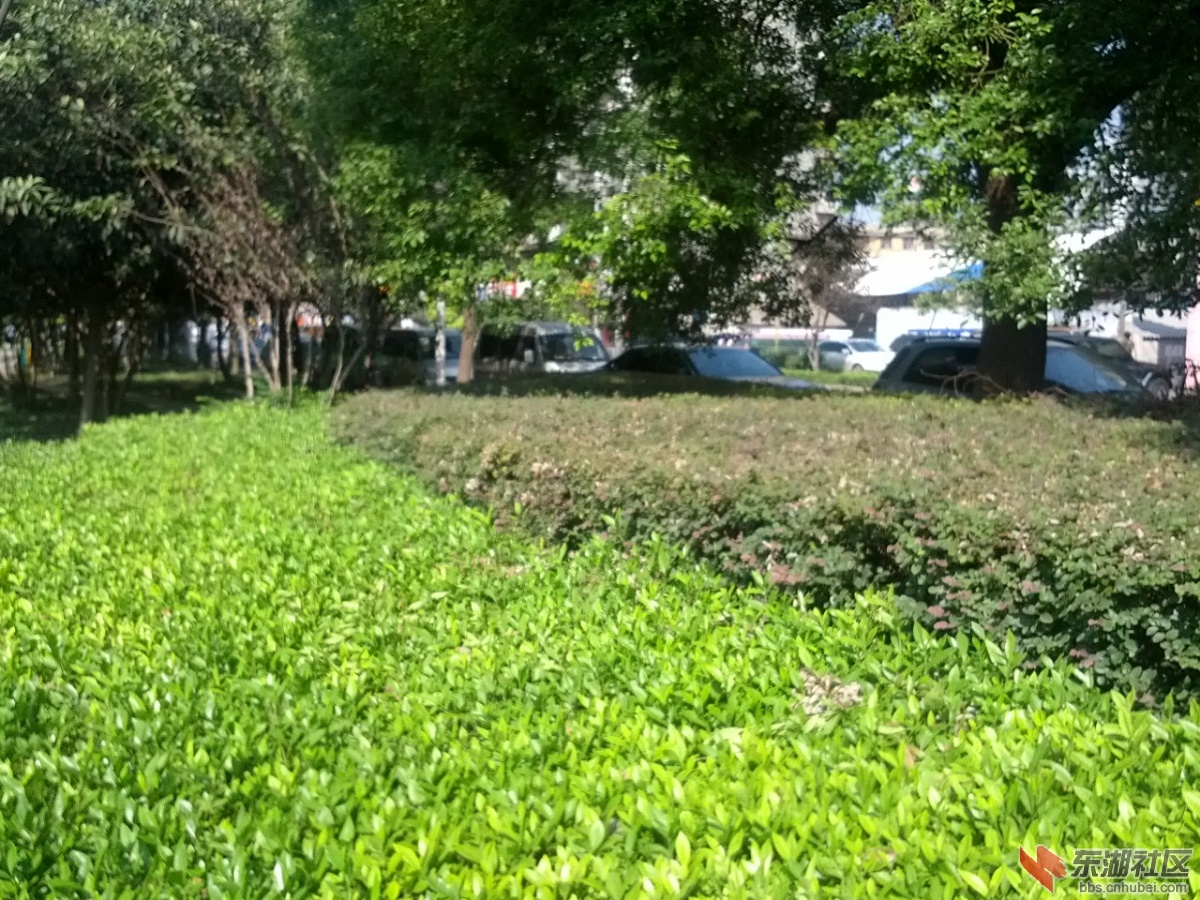 IMG_20130928_094752.jpg