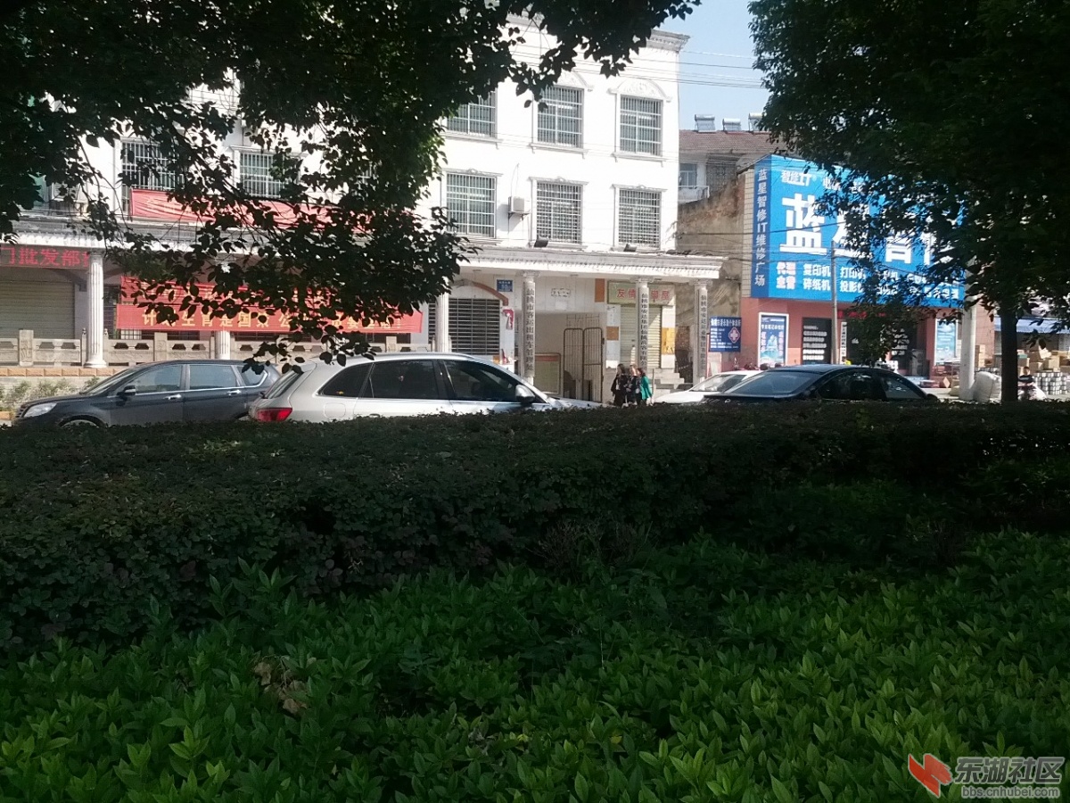IMG_20130928_094802.jpg