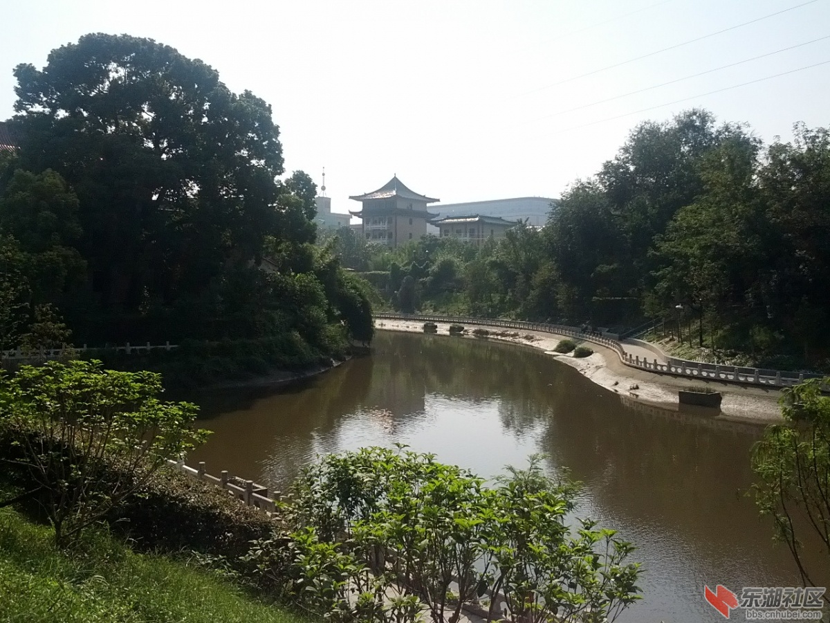 IMG_20130928_094906.jpg