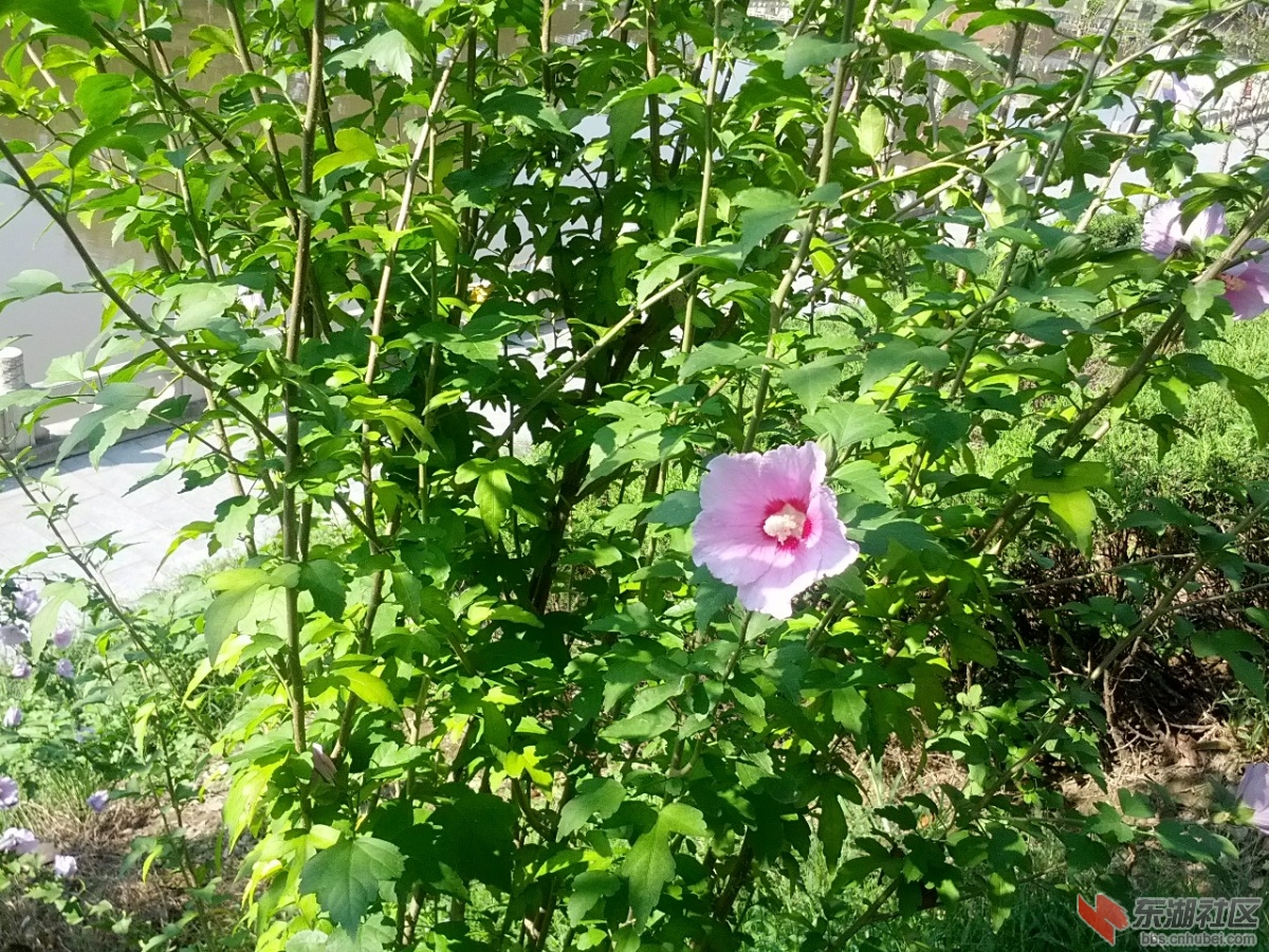 IMG_20130928_094623.jpg
