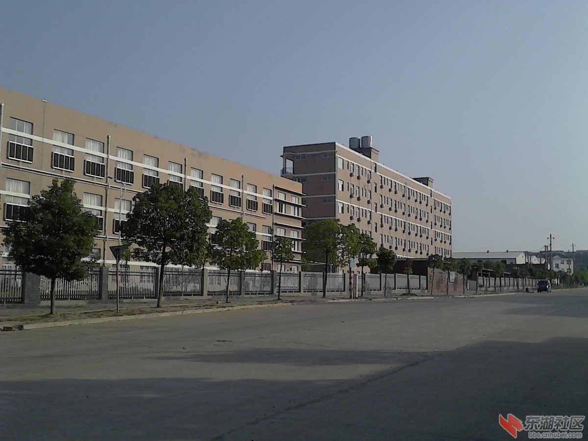 IMG_20130929_161922.jpg