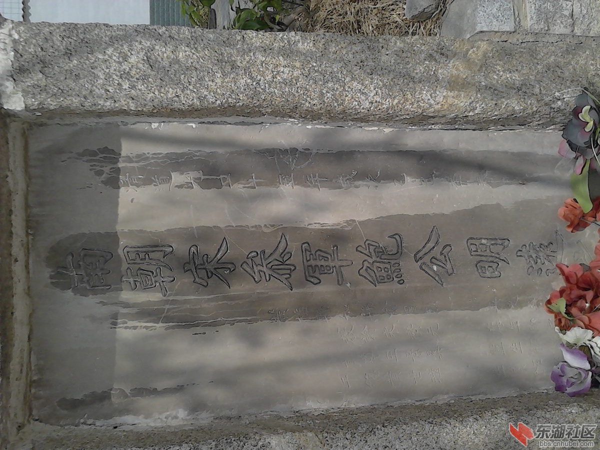 IMG_20130930_111449.jpg