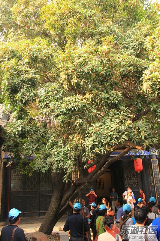 IMG_0415_副本.jpg