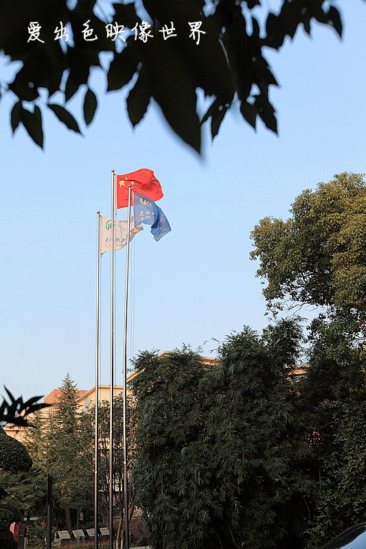 向国旗致敬。。。