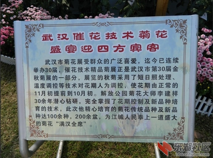 J03.jpg