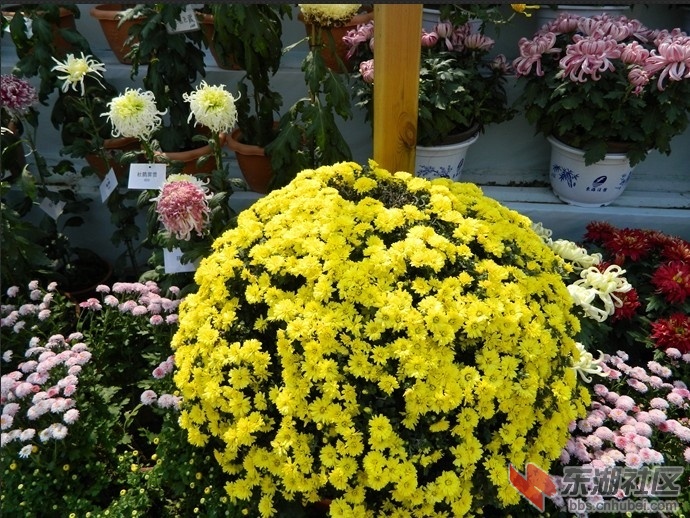 J10.jpg