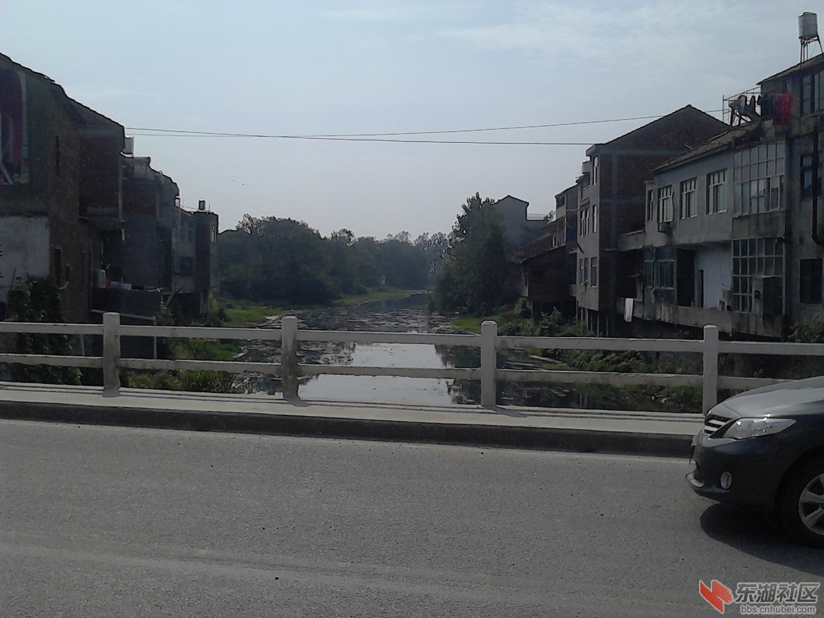 IMG_20131001_095529.jpg