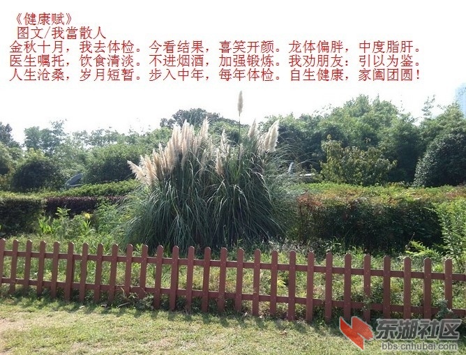 QQ图片20131011185336.jpg
