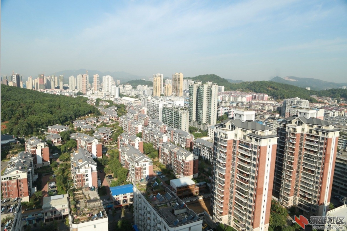 QQ图片20131014124130.jpg