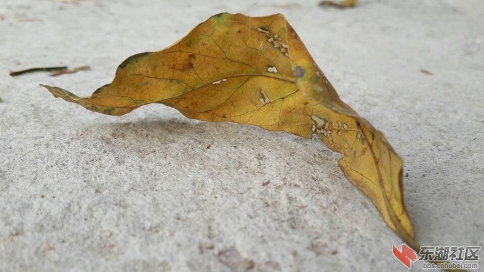 QQ图片20131015103215.jpg
