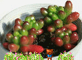 牛奶.gif