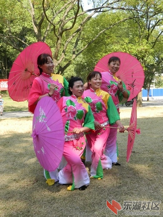 D029.jpg