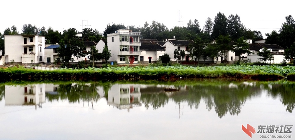 20130812105207469.jpg