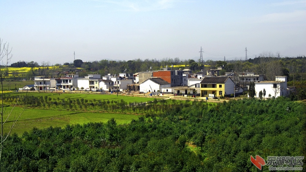 20130812105209669.jpg