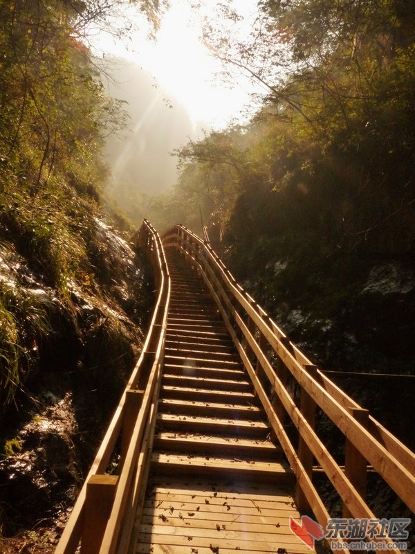 风景区木栈道.JPG