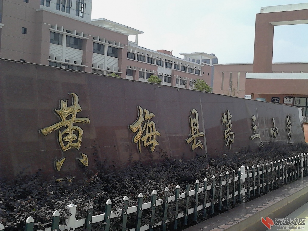 IMG_20130930_110801.jpg