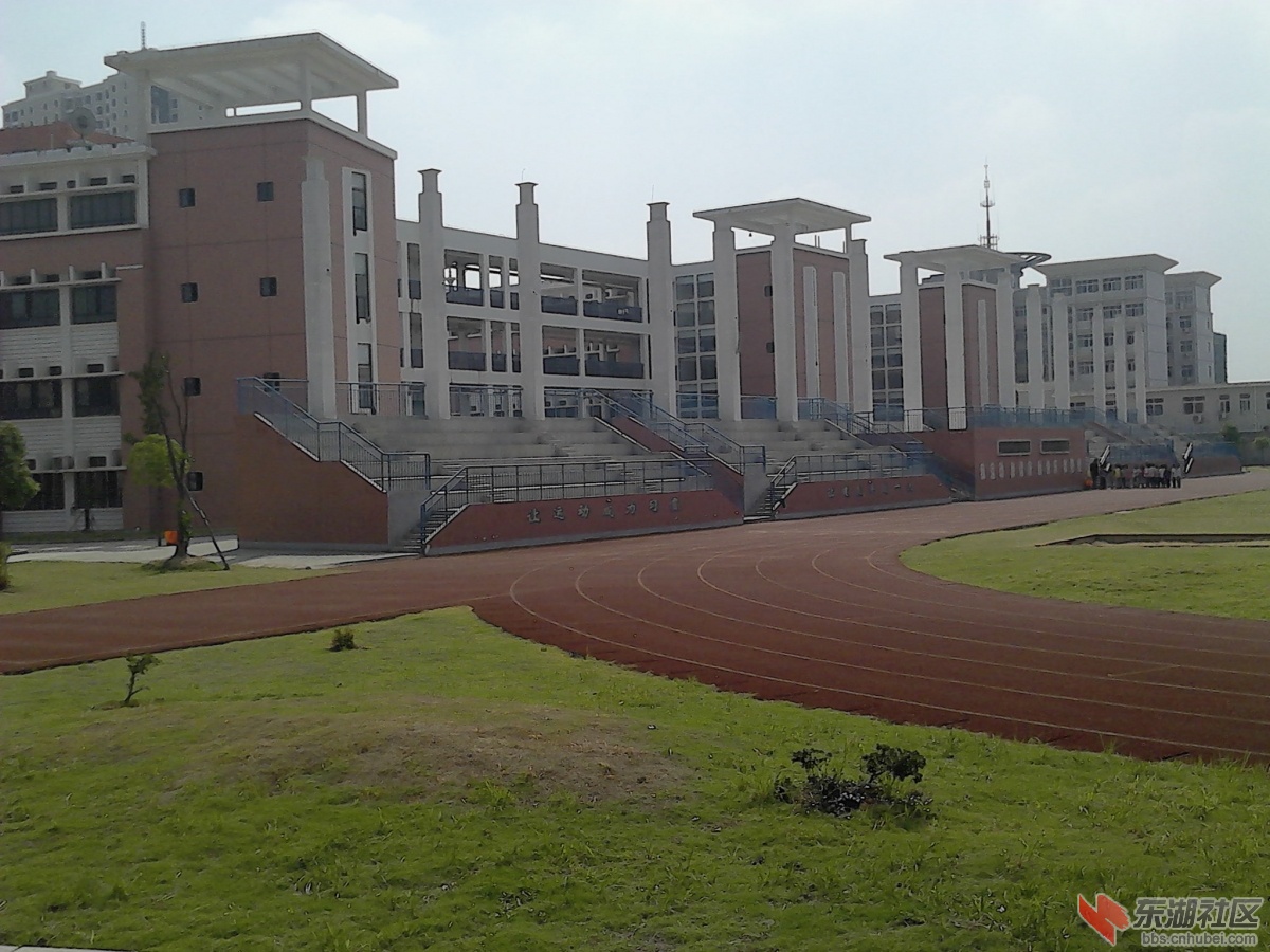IMG_20130930_110610.jpg