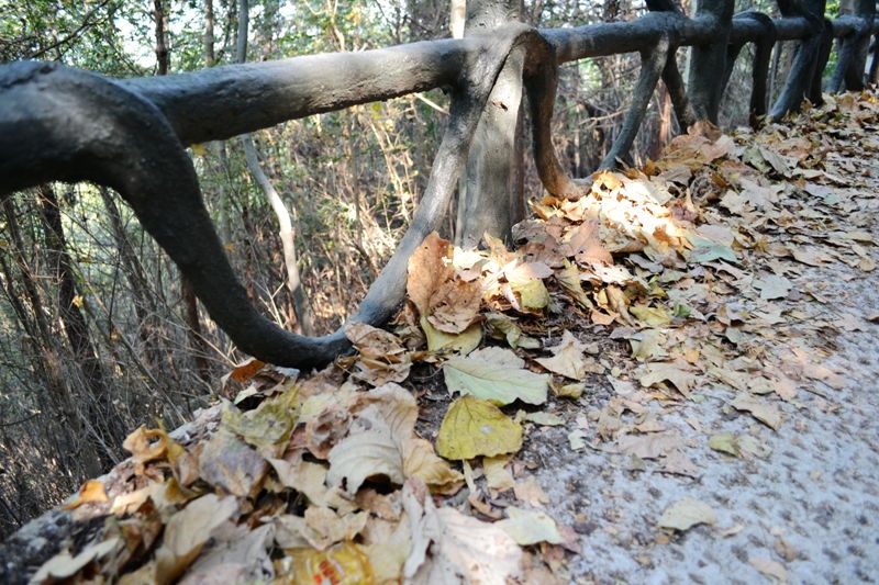 DSC_2029_副本.jpg