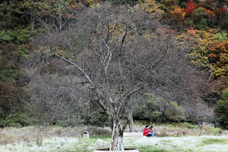 DPP_106.JPG