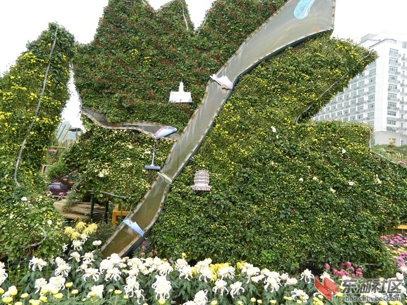 J65.jpg