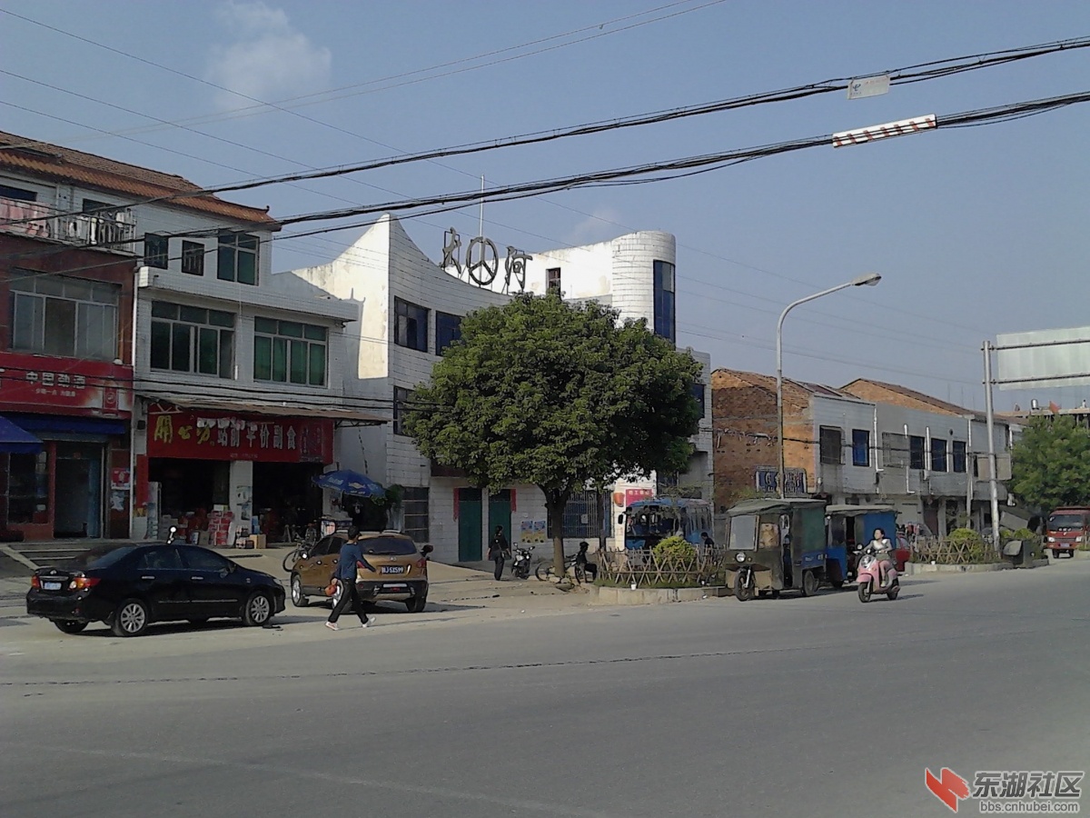 IMG_20131001_155257.jpg