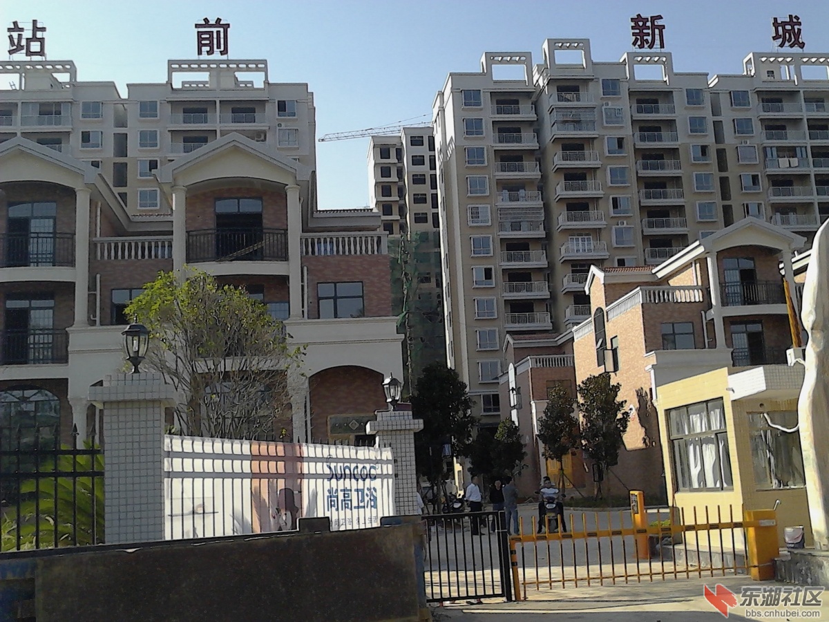 IMG_20130930_155256.jpg