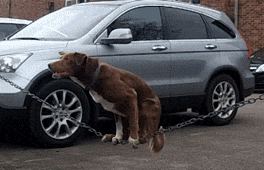 cdfg4567.gif