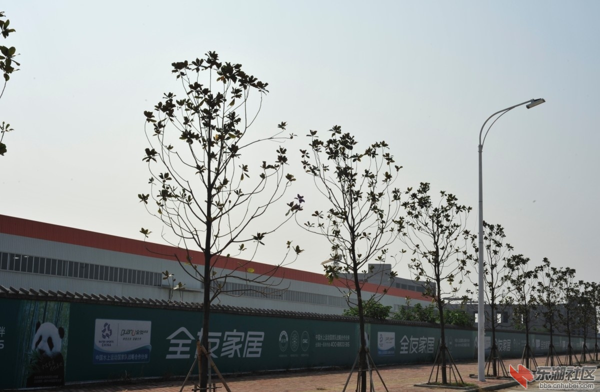 QQ图片20131104170404.jpg